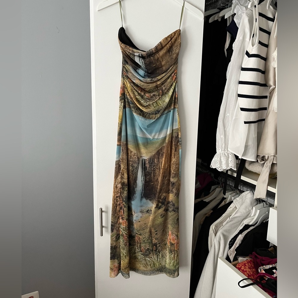 Zara Scenic Print Strapless Midi Dress